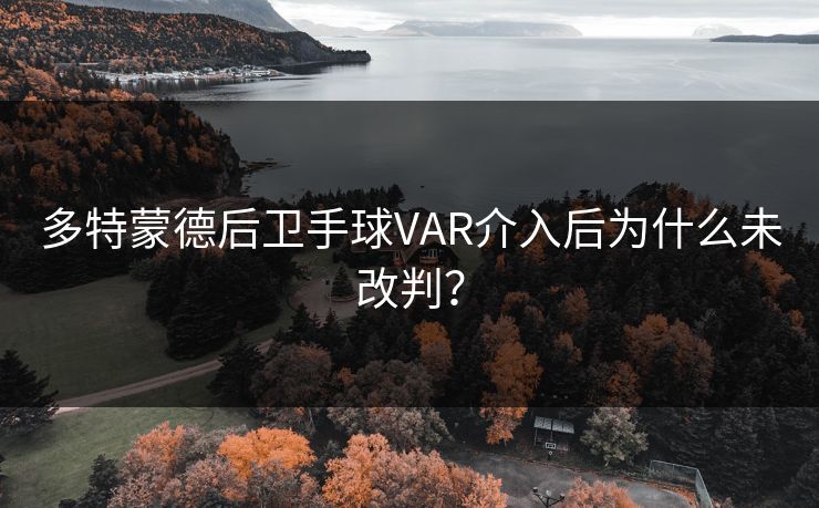 多特蒙德后卫手球VAR介入后为什么未改判？